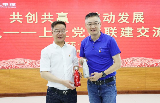 rb88随行版电缆和上汽集团创新研发总院发展党建联建互换会